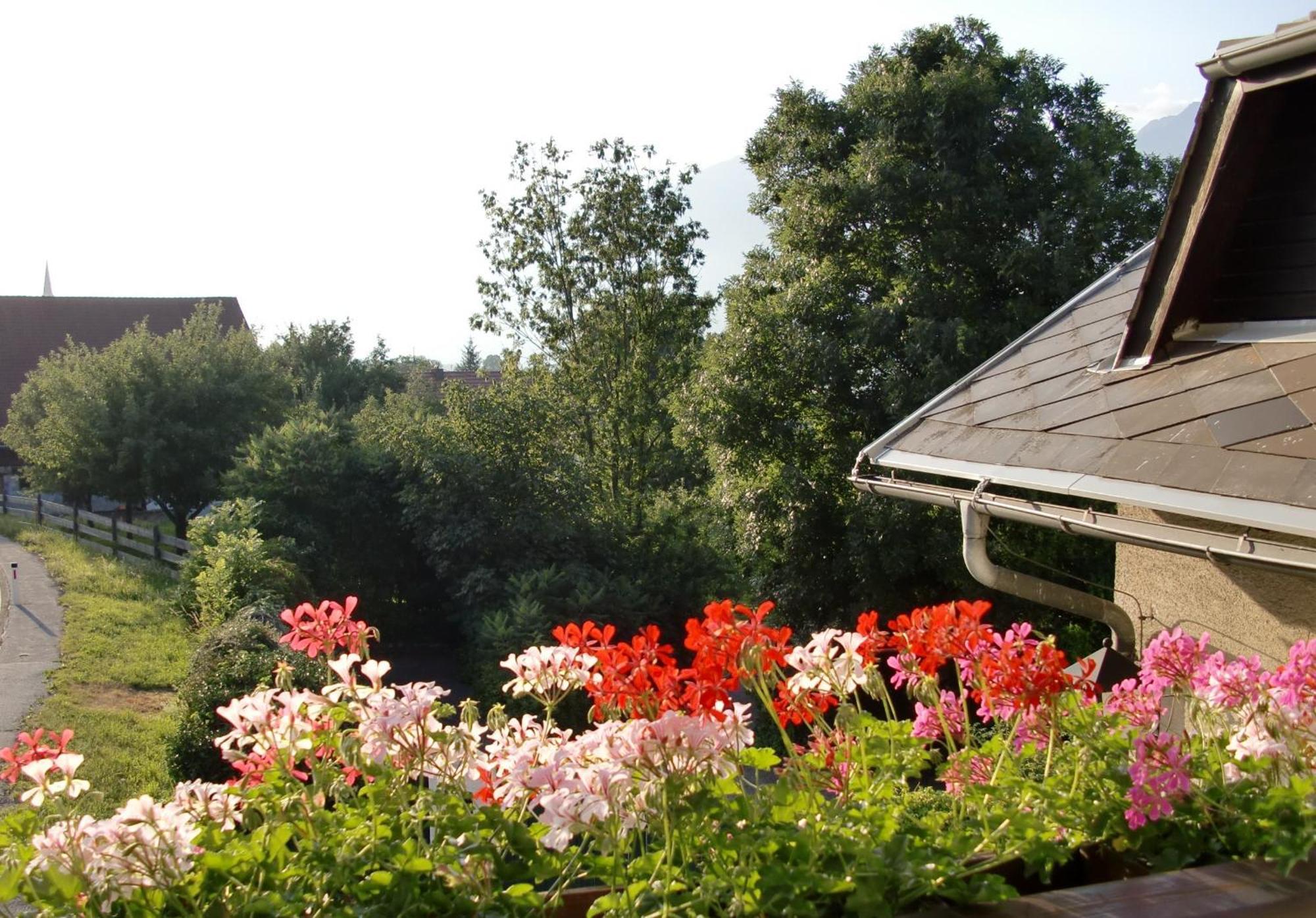 Gasthof-Pension Reidnwirt Baldramsdorf エクステリア 写真